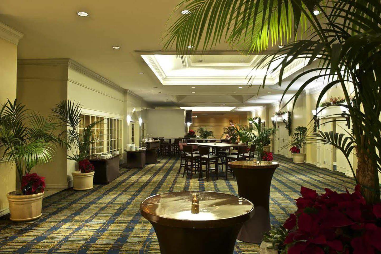 Hotel Hilton 4*